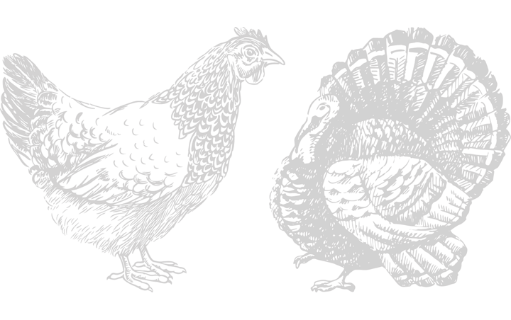 Poultry