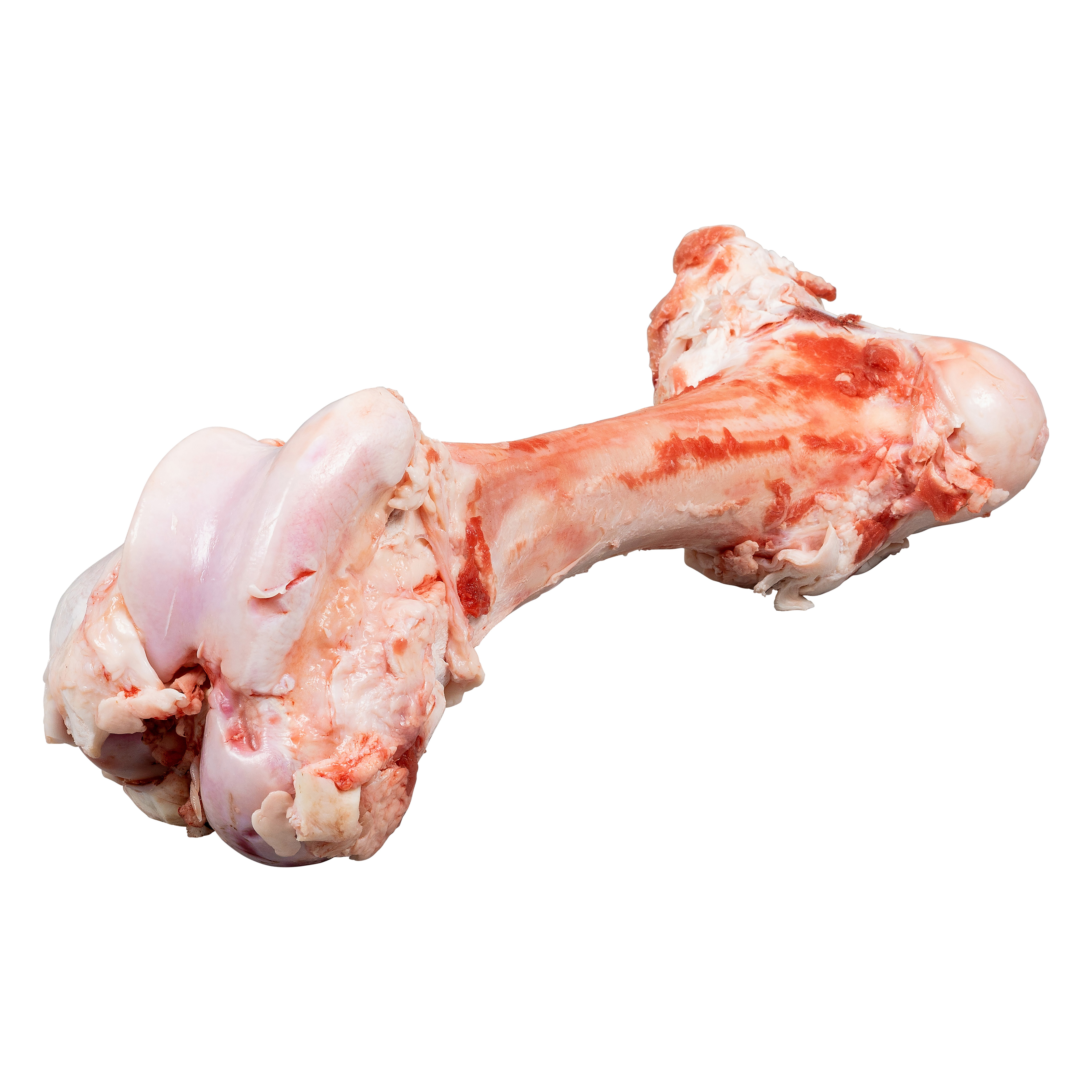 American Foods Group Bonein Beef Femur Bones